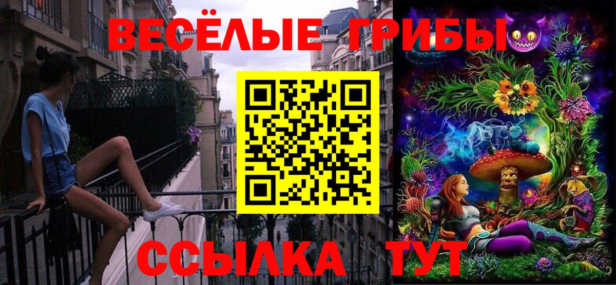 Галлюциногенные грибы Cubensis Тайшет