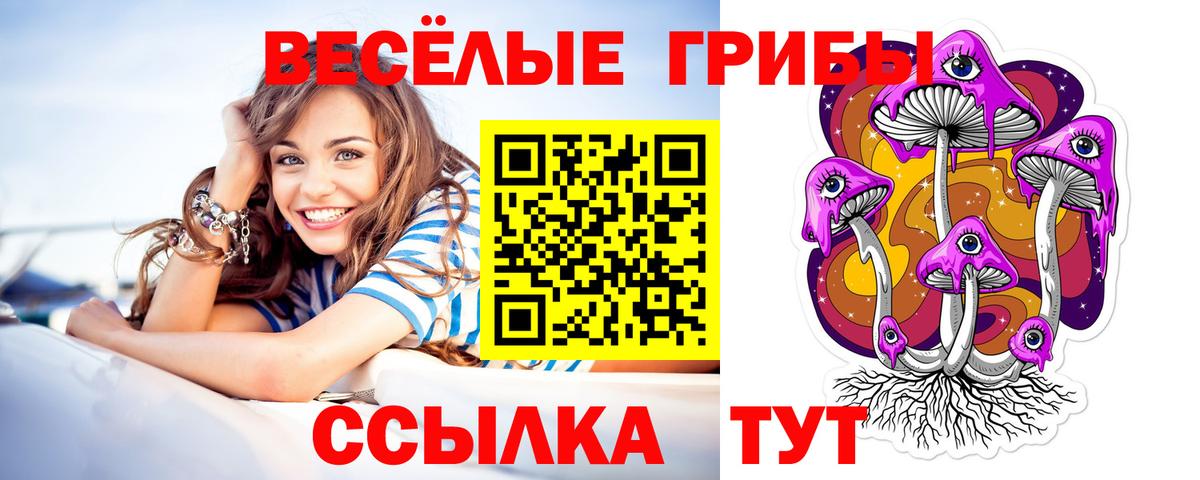 Галлюциногенные грибы GOLDEN TEACHER  Вход с VPN  Тайшет 